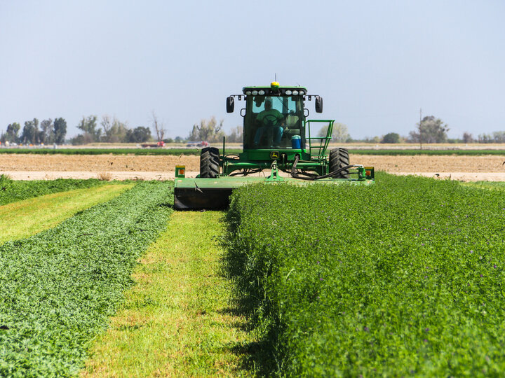 Combine Harvesting